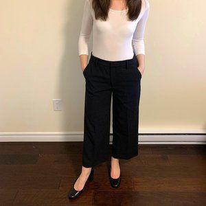 Banana Republic Wide Leg Trouser (US 8)